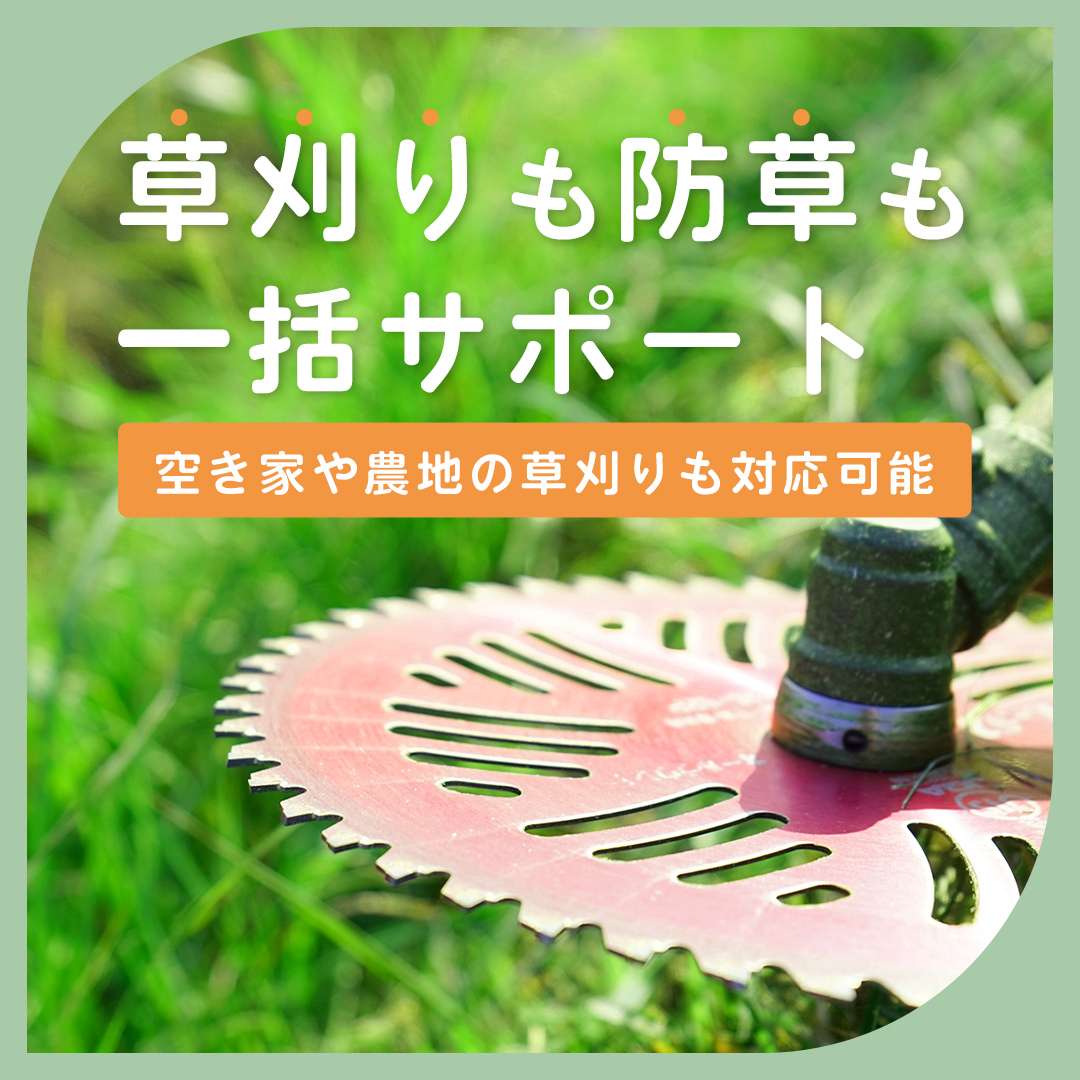popup_banner