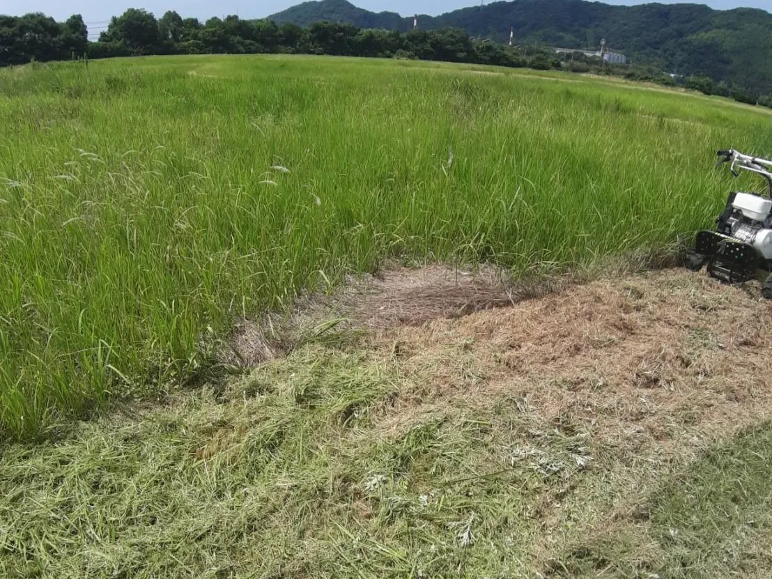 実際にご依頼いただいたお客様の感想