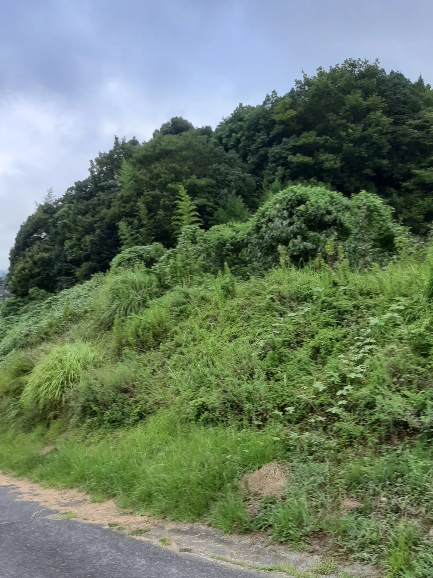 防草シート