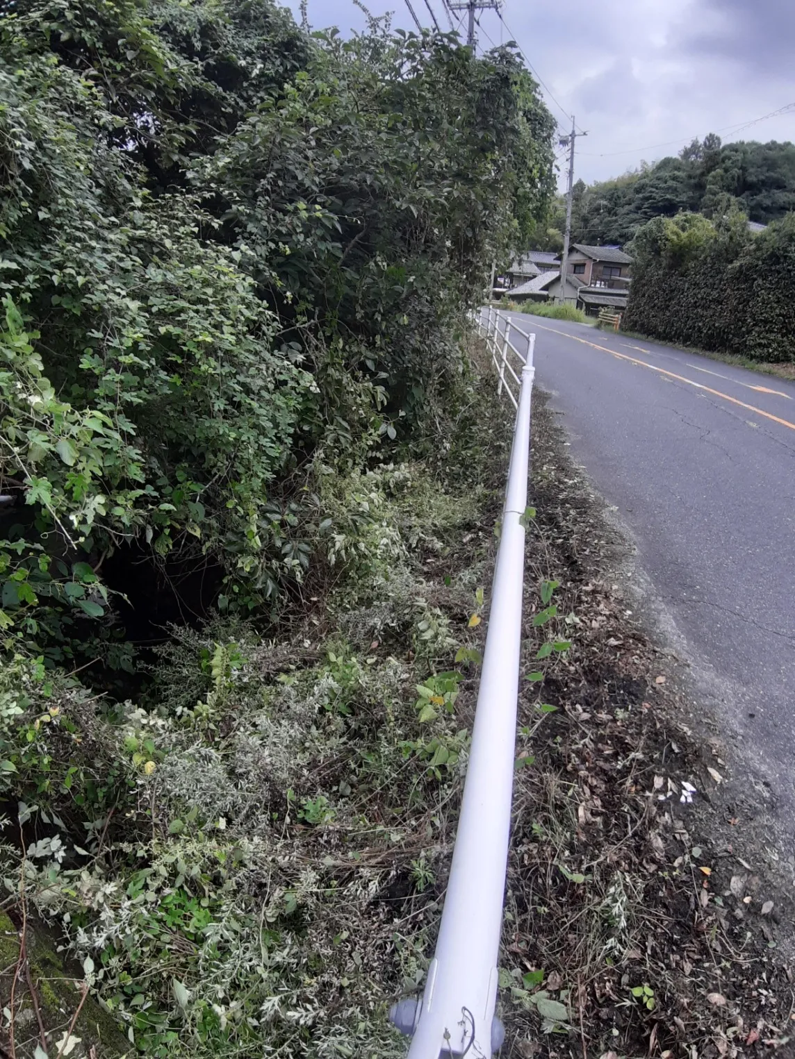 草刈り