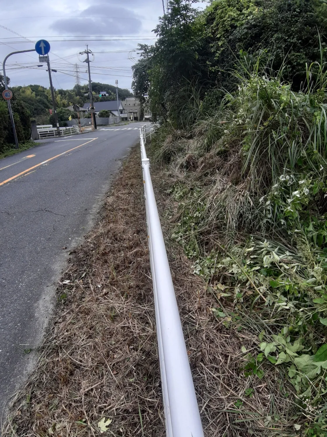 草刈り