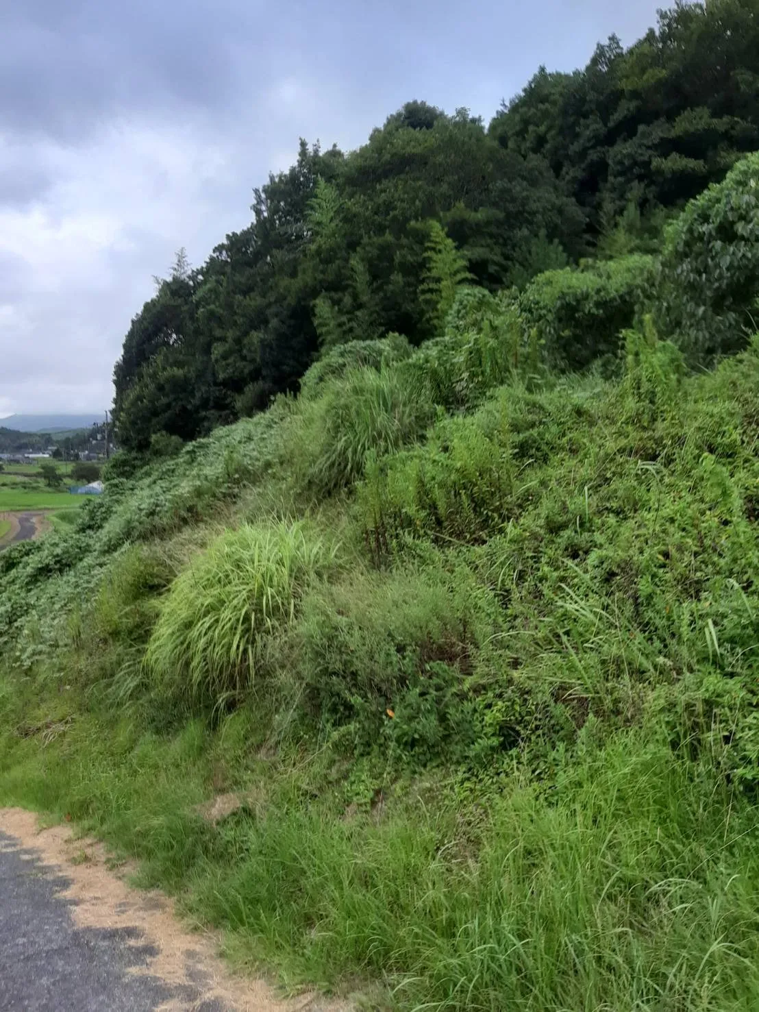防水シート