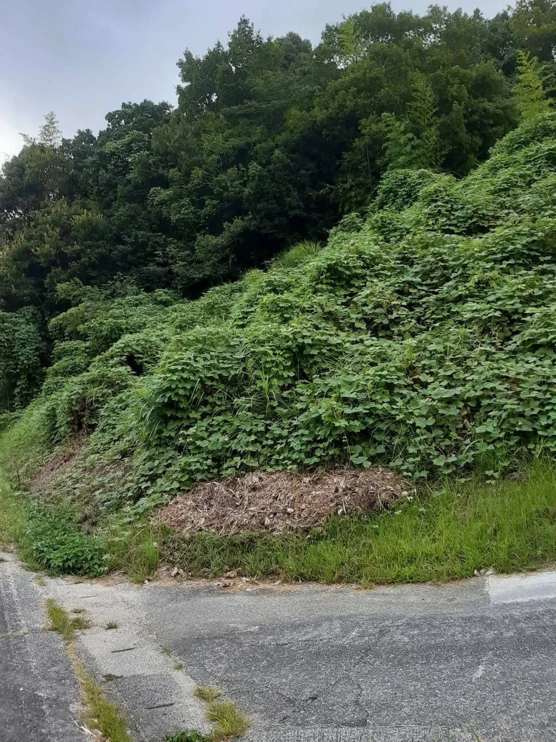 防水シート
