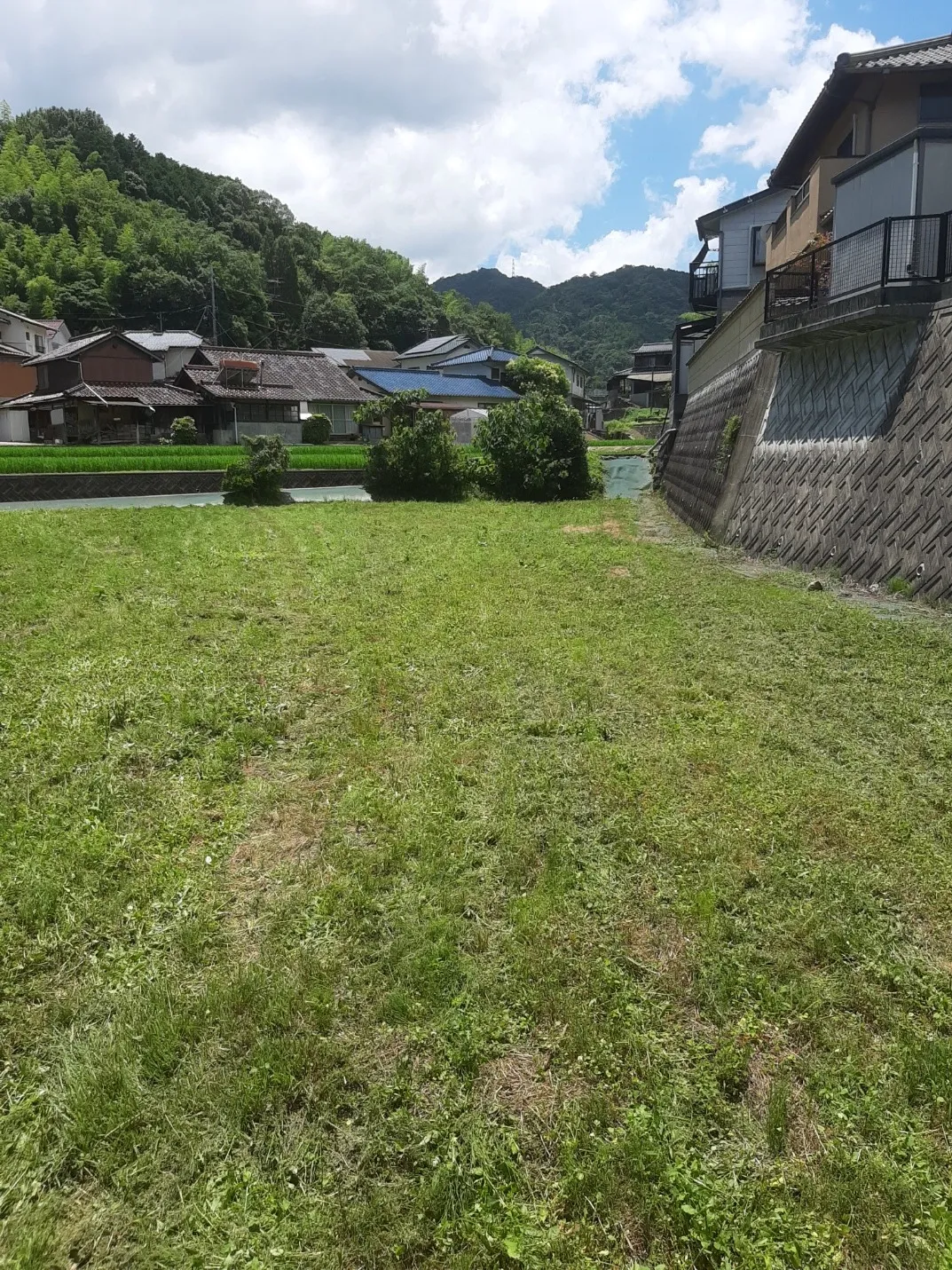 草刈り(before/after)