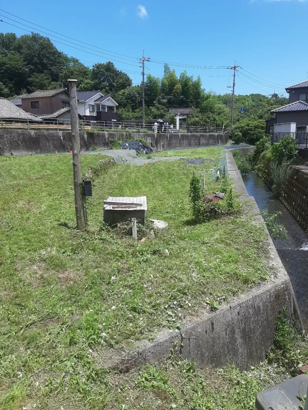 草刈り(before/after)