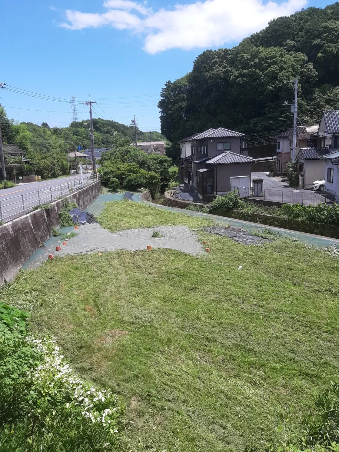 草刈り(before/after)