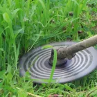 除草